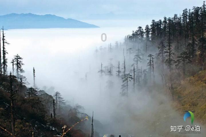 脑洞小老弟无实名认证
